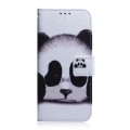 For Realme C67 4G Global Coloured Drawing Flip Leather Phone Case(Panda)