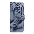 For OPPO A59 5G / A2M Coloured Drawing Flip Leather Phone Case(Tiger)