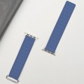 For Apple Watch SE 40mm Reverse Buckle Magnetic Silicone Watch Band(Silver Buckle Blue)