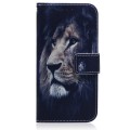 For Sony Xperia 1 VI Coloured Drawing Flip Leather Phone Case(Lion)