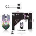 HXSJ T30 2400DPI RGB 2.4GHz Wireless Mouse(Metallic Grey)