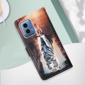 For Motorola Moto G34 Colored Drawing Pattern Plain Weave Leather Phone Case(Cats And Tigers)
