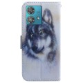 For Motorola Edge 40 Neo Coloured Drawing Flip Leather Phone Case(White Wolf)