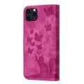 For iPhone 11 Pro Max Butterfly Cat Embossing Flip Leather Phone Case(Pink)