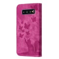 For Samsung Galaxy S10 Butterfly Cat Embossing Flip Leather Phone Case(Pink)