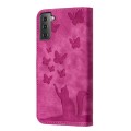 For Samsung Galaxy S21 5G Butterfly Cat Embossing Flip Leather Phone Case(Pink)