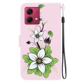 For Motorola Moto G84 Crystal Texture Colored Drawing Leather Phone Case(Lily)