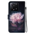For Xiaomi 13T / 13T Pro / Redmi K60 Ultra Crystal Texture Colored Drawing Leather Phone Case(Purple