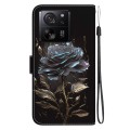 For Xiaomi 13T / 13T Pro / Redmi K60 Ultra Crystal Texture Colored Drawing Leather Phone Case(Black