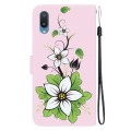 For Samsung Galaxy A02 / M02 Indian Crystal Texture Colored Drawing Leather Phone Case(Lily)