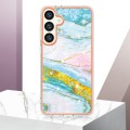 For Samsung Galaxy S24+ 5G Electroplating Marble Dual-side IMD Phone Case(Green 004)