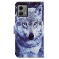 For Motorola Moto G84 Painted Pattern Horizontal Flip Leather Phone Case(White Wolf)