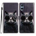 For Sony Xperia 5 V Colored Drawing Leather Phone Case(Sunglasses Cat)