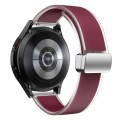 For Samsung Galaxy Watch6 / 5 / 4 Translucent Magnetic Silver Buckle Silicone Watch Band(Wine Red)