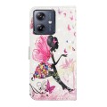 For Motorola Moto G54 5G Oil Embossed 3D Drawing Leather Phone Case(Flower Fairy)