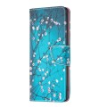 For Motorola Moto G Play 2024 Colored Drawing Pattern Leather Phone Case(Plum Blossom)