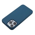 For iPhone 12 Pro Max Wheat Straw Material + TPU Phone Case(Blue)