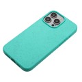 For iPhone 13 Pro Max Wheat MagSafe Magnetic Straw Material + TPU Phone Case(Green)