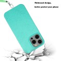 For iPhone 15 Pro Max Wheat MagSafe Magnetic Straw Material + TPU Phone Case with Lanyard(Green)