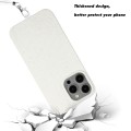 For iPhone 15 Pro Max Wheat MagSafe Magnetic Straw Material + TPU Phone Case with Lanyard(White)