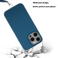For iPhone 15 Pro Max Wheat MagSafe Magnetic Straw Material + TPU Phone Case with Lanyard(Blue)