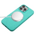 For iPhone 15 Pro Wheat MagSafe Magnetic Straw Material + TPU Phone Case with Lanyard(Green)