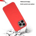 For iPhone 15 Pro Wheat MagSafe Magnetic Straw Material + TPU Phone Case with Lanyard(Red)