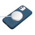 For iPhone 12 Wheat MagSafe Magnetic Straw Material + TPU Phone Case with Lanyard(Blue)