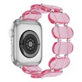 For Apple Watch SE 2023 40mm Stretch Resin Watch Band(Transparent Pink)