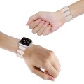 For Apple Watch SE 2022 40mm Stretch Resin Watch Band(Mermaid Powder)