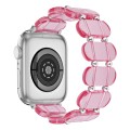 For Apple Watch Series 7 45mm Stretch Resin Watch Band(Transparent Pink)