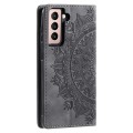 For Samsung Galaxy S21+ 5G Totem Embossed Magnetic Leather Phone Case(Grey)