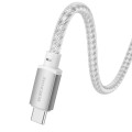 hoco BX95 Vivid 60W USB-C / Type-C to Type-C Silicone Charging Data Cable(Silver)