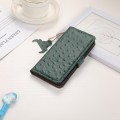 For Honor X7b Ostrich Pattern Genuine Leather RFID Phone Case(Green)
