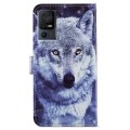 For TCL 40 SE Painted Pattern Horizontal Flip Leather Phone Case(White Wolf)