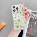 For iPhone 11 Electroplated Symphony Phone Case(Four-leaf-clover)