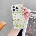 For iPhone 12 Pro Electroplated Symphony Phone Case(Four-leaf-clover)