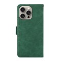 For iPhone 15 Pro Max ABEEL Frosted Magnetic RFID Leather Phone Case(Green)