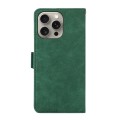 For iPhone 13 Pro ABEEL Frosted Magnetic RFID Leather Phone Case(Green)