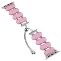 For Apple Watch SE 2023 40mm Resin Retractable Chain Watch Band(Pink)