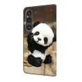 For Sony Xperia 1 V Crystal Painted Leather Phone case(Panda)