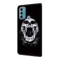 For Motorola Moto G60/G40 Fusion Crystal Painted Leather Phone case(Skull)