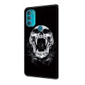 For Motorola Moto G71 5G Crystal Painted Leather Phone case(Skull)
