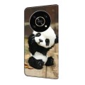 For Honor X9 4G/5G/X30/Magic4 Lite Crystal Painted Leather Phone case(Panda)