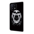 For Xiaomi 13 Crystal Painted Leather Phone case(Skull)