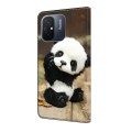 For Xiaomi Redmi 13C Crystal Painted Leather Phone case(Panda)