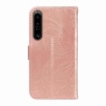 For Sony Xperia 1 IV Swallowtail Butterfly Embossed Leather Phone Case(Rose Gold)