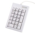 DX-21A 21-keys USB Wired Mechanical Black Shaft Mini Numeric Keyboard(White)