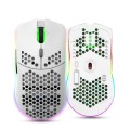HXSJ T66 7 Keys Colorful Lighting Programmable Gaming Wireless Mouse (White)