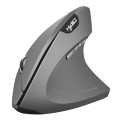 HXSJ T24 6 Buttons 2400 DPI 2.4G Wireless Vertical Ergonomic Mouse with USB Receiver(Grey)